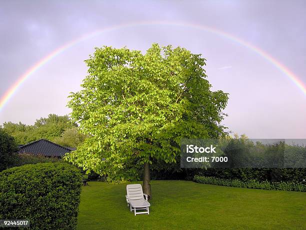 Arcobaleno - Fotografie stock e altre immagini di Aiuola - Aiuola, Albero, Ambientazione esterna