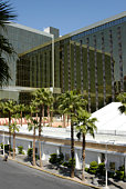 palmen-in-las-vegas.jpg?b=1&s=170x170&k=20&c=EBfs0Z4xWNrt2Yrm0lQYwmxebIytwjdQlule-0rDOYY=