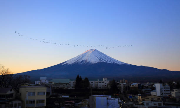istock flock of bird in mt fuji 924454178
