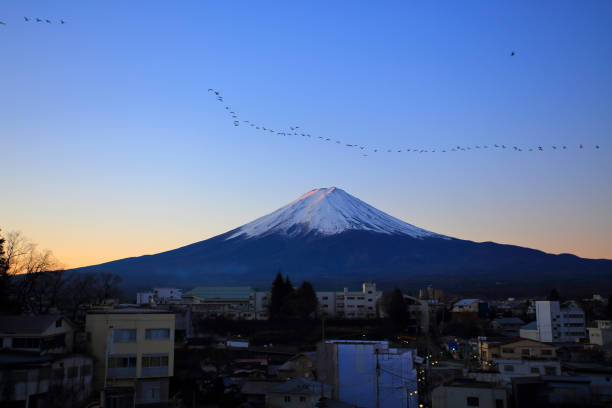 istock flock of bird in mt fuji 924454330