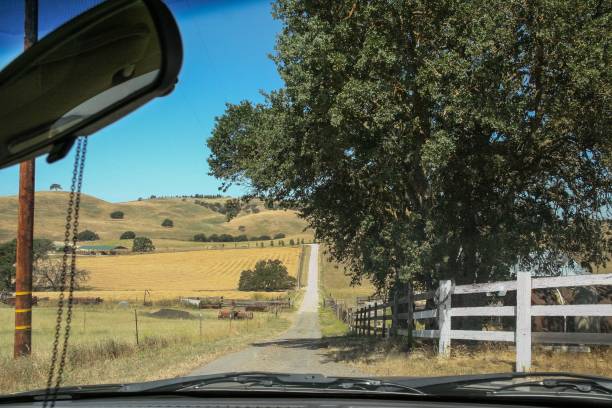 istock Rural scene in California seen from inside a vehicle. 924455442