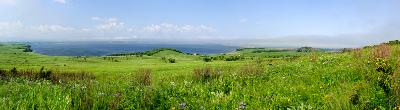 Summer meadow and sea panoramic view landscape background