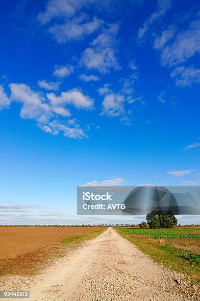 ファーム Road - Horizonのストックフォトや画像を多数ご用意 - Horizon, カラー画像, 一本道