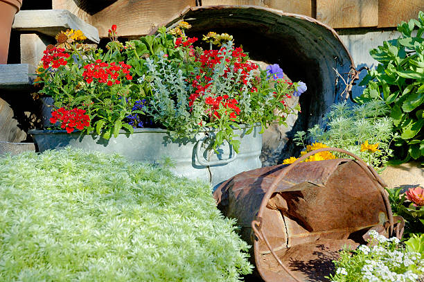 istock Buckets of Flowers Horizontal 92445796