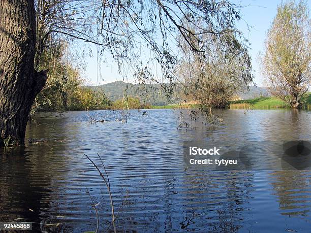 Jezioro - zdjęcia stockowe i więcej obrazów Bez ludzi - Bez ludzi, Brzeg wody, Błoto