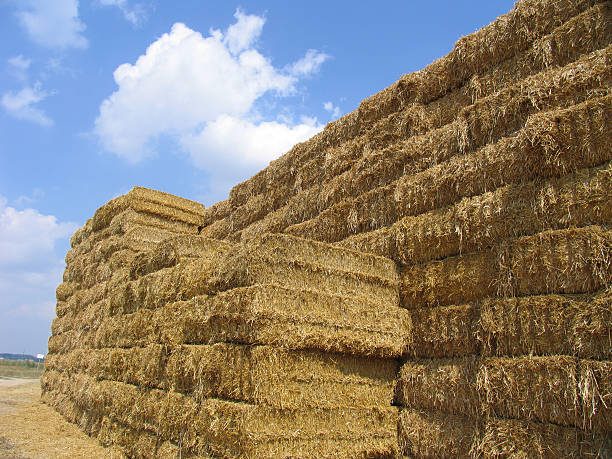 bales of hay 3/3 stock photo