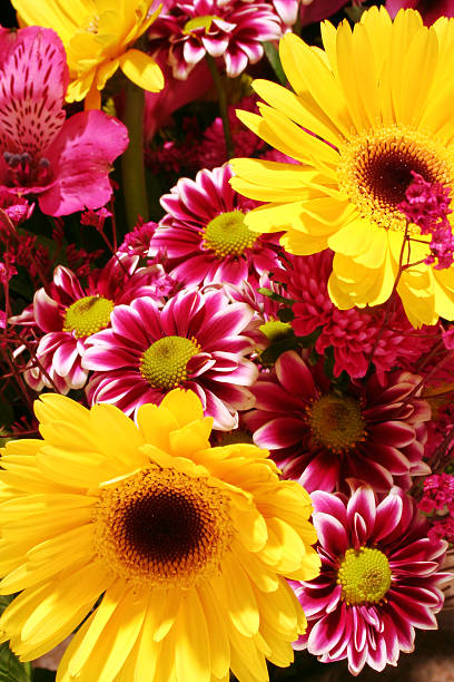 Colorful bouquet of flowers stock photo