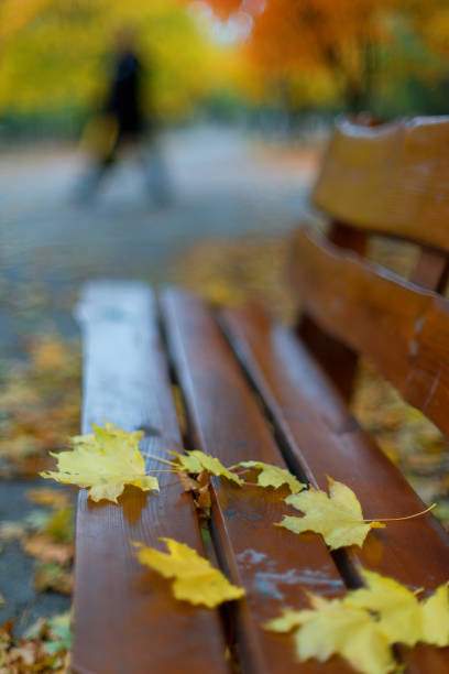 Yellow autumn leaves on a bench and blurry figure of a passerby in the background