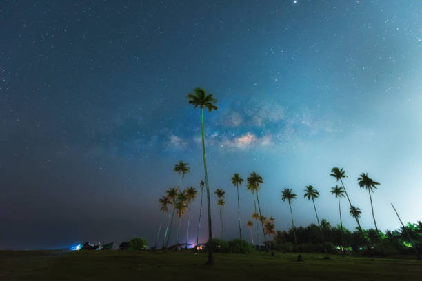 istock Milky Way. Beautiful summer night sky with coconut trees. Background. 924460892