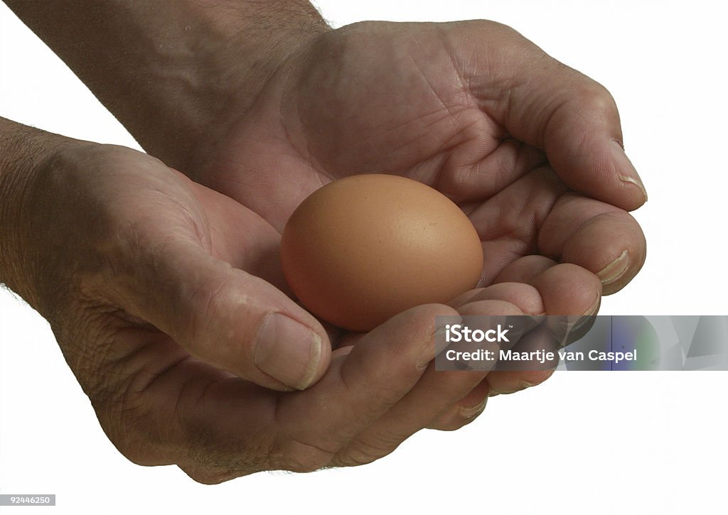 Protéger un œuf - Photo de Affectueux libre de droits