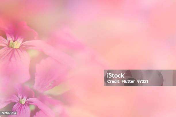 Fiore Medley - Fotografie stock e altre immagini di Astratto - Astratto, Colore descrittivo, Composizione orizzontale