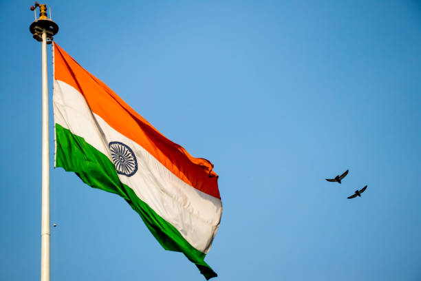 インドの旗青空背景としての画像 - action alertness animal bird ストックフォトと画像
