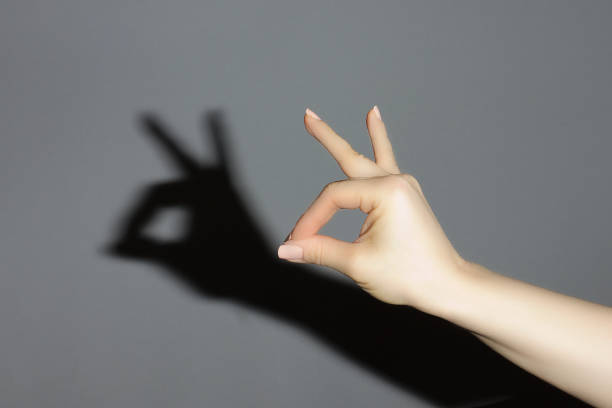 istock The hand shows a shadow rabbit on a gray background 924469168