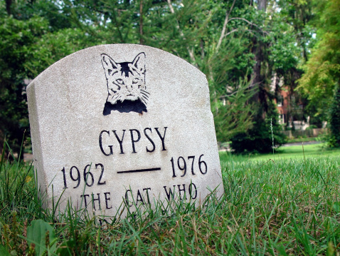 here lies the body of Gypsy the cat