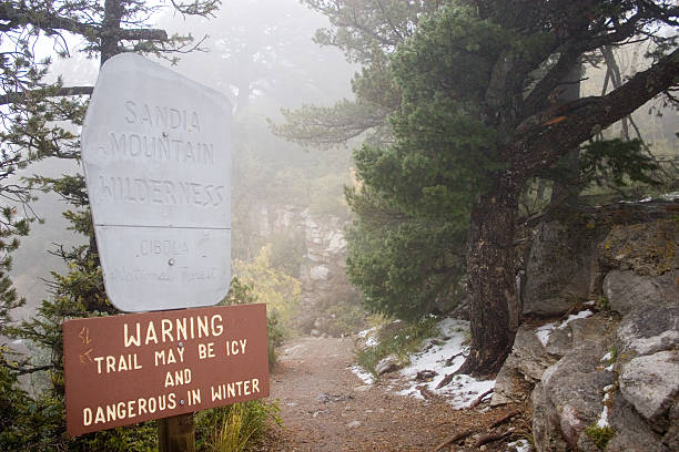 istock trail in the fog 2 92447332