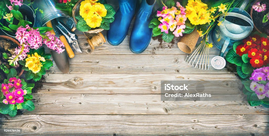 FGardening Werkzeuge und Frühlingsblumen auf der Terrasse - Lizenzfrei Frühling Stock-Foto