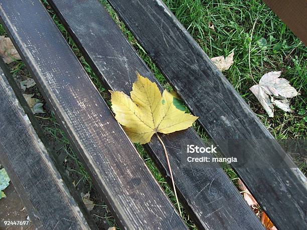 잎 0명에 대한 스톡 사진 및 기타 이미지 - 0명, 가을, 레저 활동