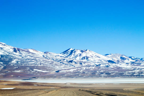 istock Laguna Blanca landscape,Bolivia 924479588