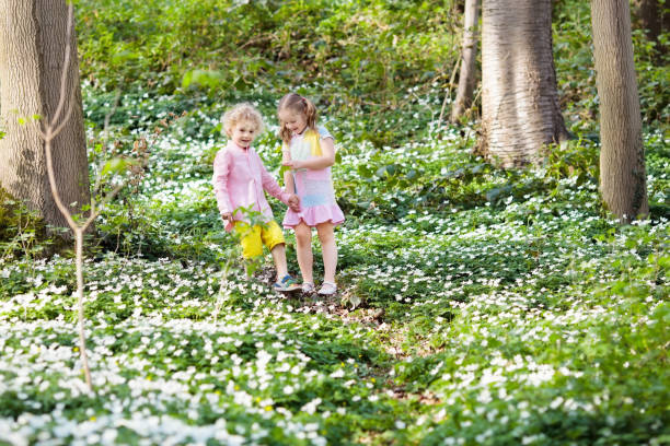 dzieci w wiosennym parku z kwiatami - anemone flower wood anemone windflower flower zdjęcia i obrazy z banku zdjęć