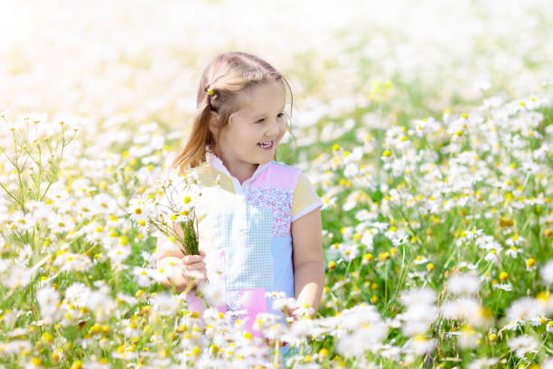 istock Little girl picking flowers in daisy field 924486152