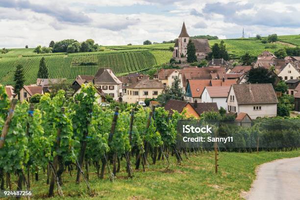 ブドウはブルゴーニュフランス新鮮な緑の背景のワイン ビジネスのフィールドの行で育つ - フランスのストックフォトや画像を多数ご用意 - フランス, ワインレッド, ブドウ畑