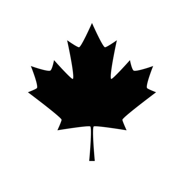 ilustraciones, imágenes clip art, dibujos animados e iconos de stock de hoja del arce. hoja de arce de canadá símbolo - flag canadian flag patriotism national flag