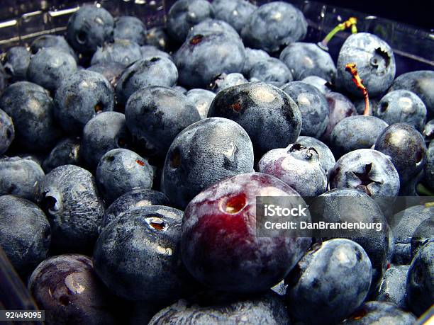 Foto de Mirtilos e mais fotos de stock de Amora-preta - Amora-preta, Arvoredo, Azul