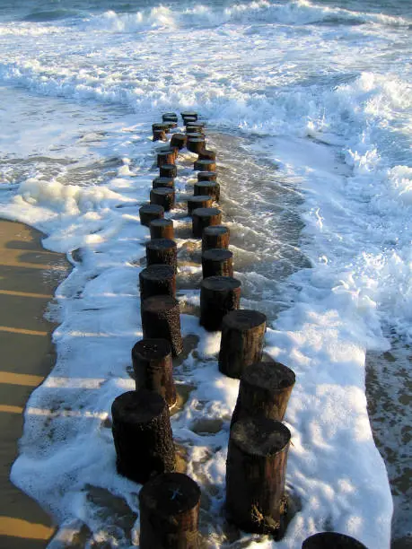 wooden wave-breaks on the coast of the atlantic ocean in Aquitaine