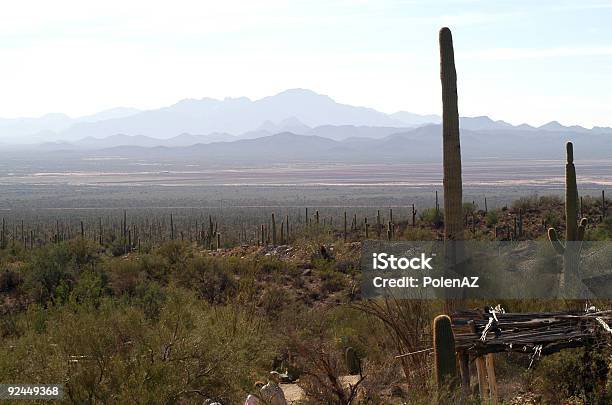Photo libre de droit de Vue Sur Le Désert Avec Les Montagnes banque d'images et plus d'images libres de droit de Arizona - Arizona, Cactus, Chaleur