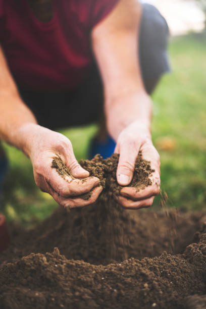 istock Senior woman holding soil in her hands 924494300