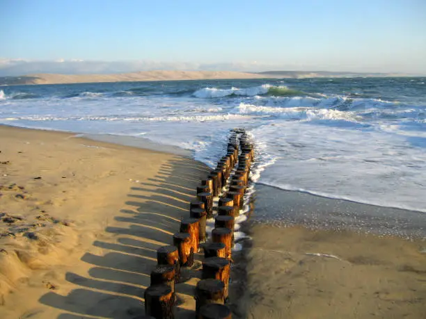 wooden wave-breaks on the coast of the atlantic ocean in Aquitaine