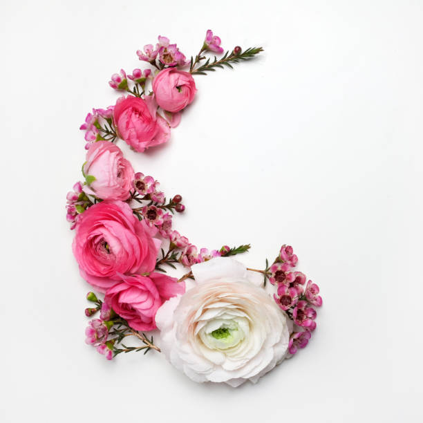 istock Floral round frame with ranunculus flowers, flat lay, top view with copy space 924499398