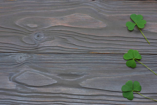 istock Closeup clovers leaves on dark wooden background top view with copy space 924504592