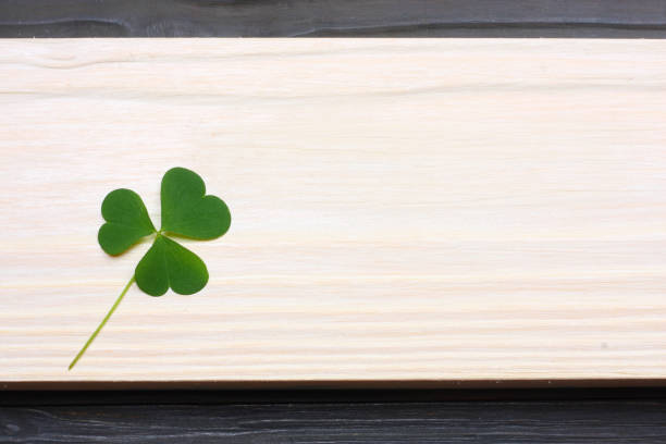 Closeup clovers leaves on white wooden background top view with copy space