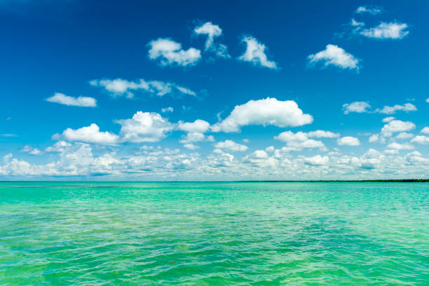 istock The Caribbean ocean and blue sky with some clouds 924505626