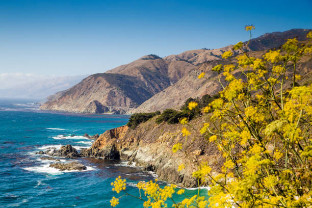 istock Big Sur, California Central Coast, USA 924508528