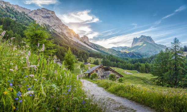 paysage alpin dans les dolomites avec des chalets de montagne au coucher du soleil en été - alpine flower photos et images de collection