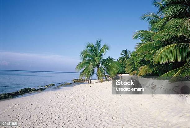 Lonely Playa De Maldivas Foto de stock y más banco de imágenes de Agua - Agua, Aire libre, Arena