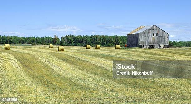 Hay Feld Harvest Stockfoto und mehr Bilder von Agrarbetrieb - Agrarbetrieb, Alt, Arbeiten