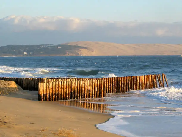 wooden wave-breaks on the coast of the atlantic ocean in Aquitaine