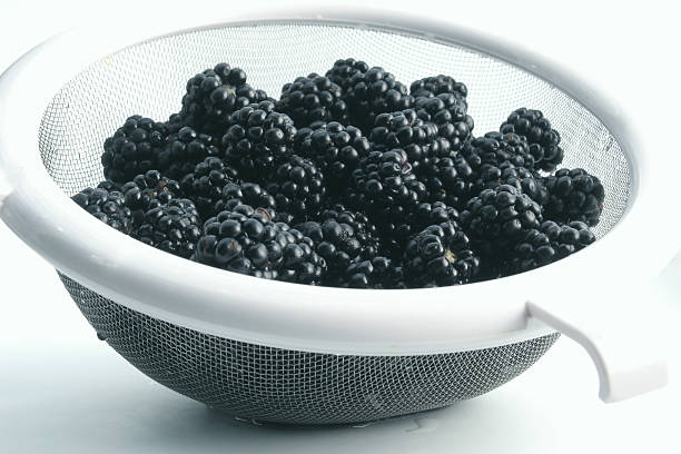 blackberry - foto de stock