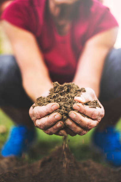 istock Senior woman holding soil in her hands 924512490