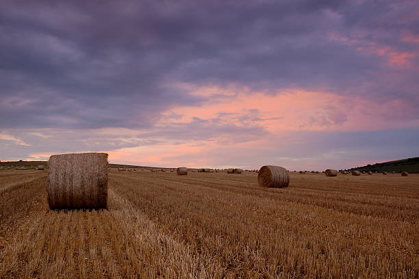 End of the day stock photo