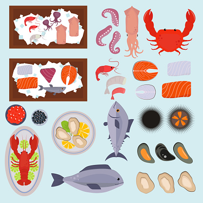 Seafood vector illustration set design flat fish and crab food oyster fresh seafood shrimp menu sea food octopus animal shellfish