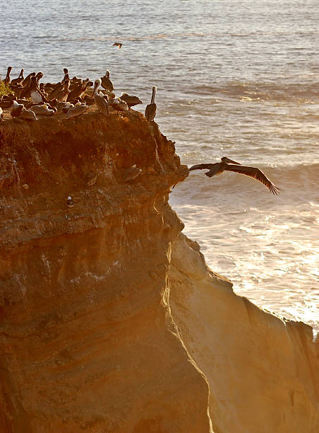 circulando - san luis obispo county california coastline pinnacle fotografías e imágenes de stock