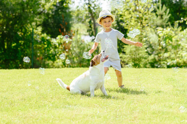 istock Happy kid and pet dog playing witn soap bubbles at backyard lawn 924527892