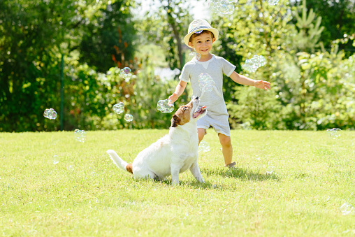 Happy kid and pet dog playing witn soap bubbles at backyard lawn