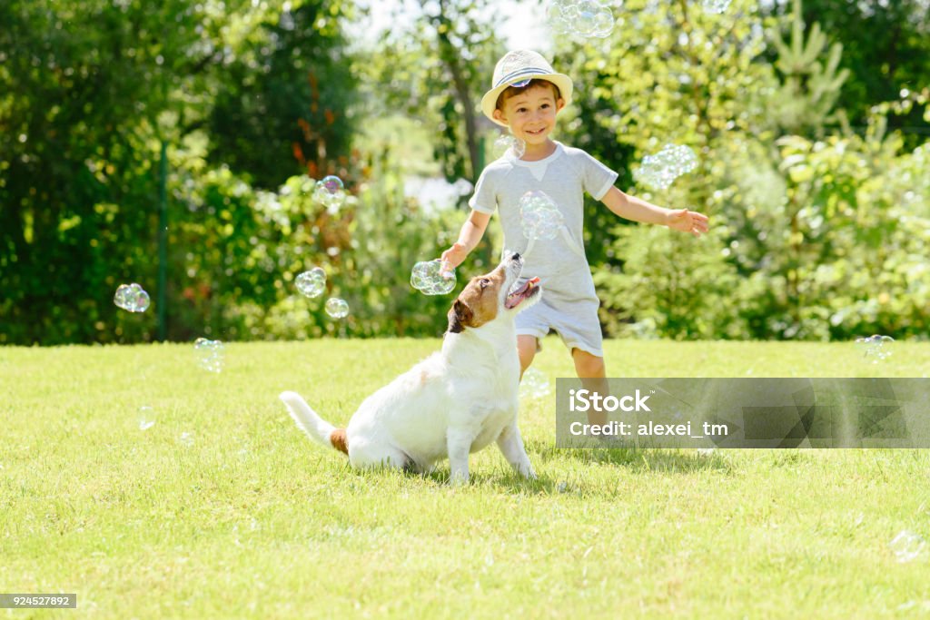 Happy kid and pet dog playing witn soap bubbles at backyard lawn Family has enjoying fine summer day Child Stock Photo