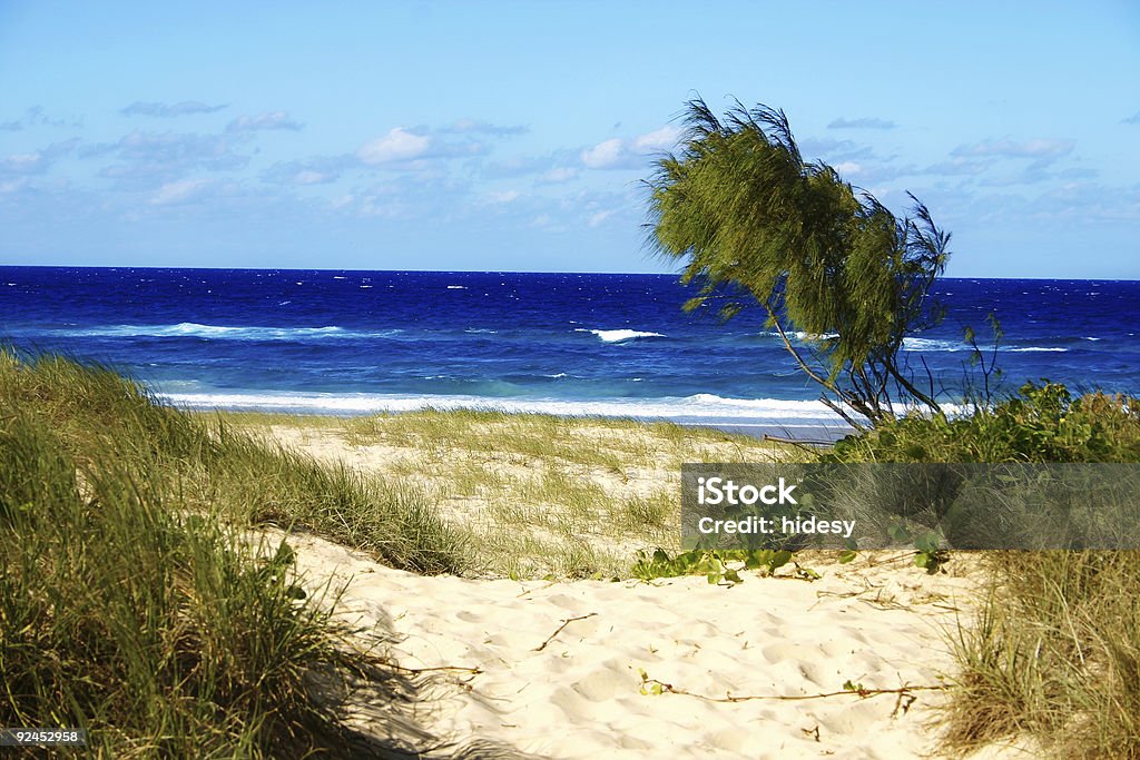 Strandpfad - Lizenzfrei Abwesenheit Stock-Foto