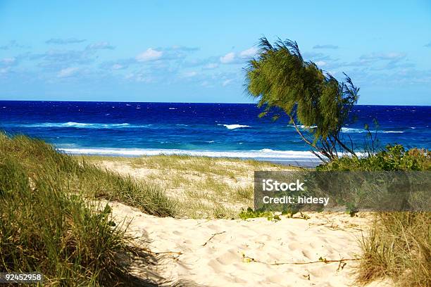 Strandpfad Stockfoto und mehr Bilder von Abwesenheit - Abwesenheit, Blau, Einspurige Straße